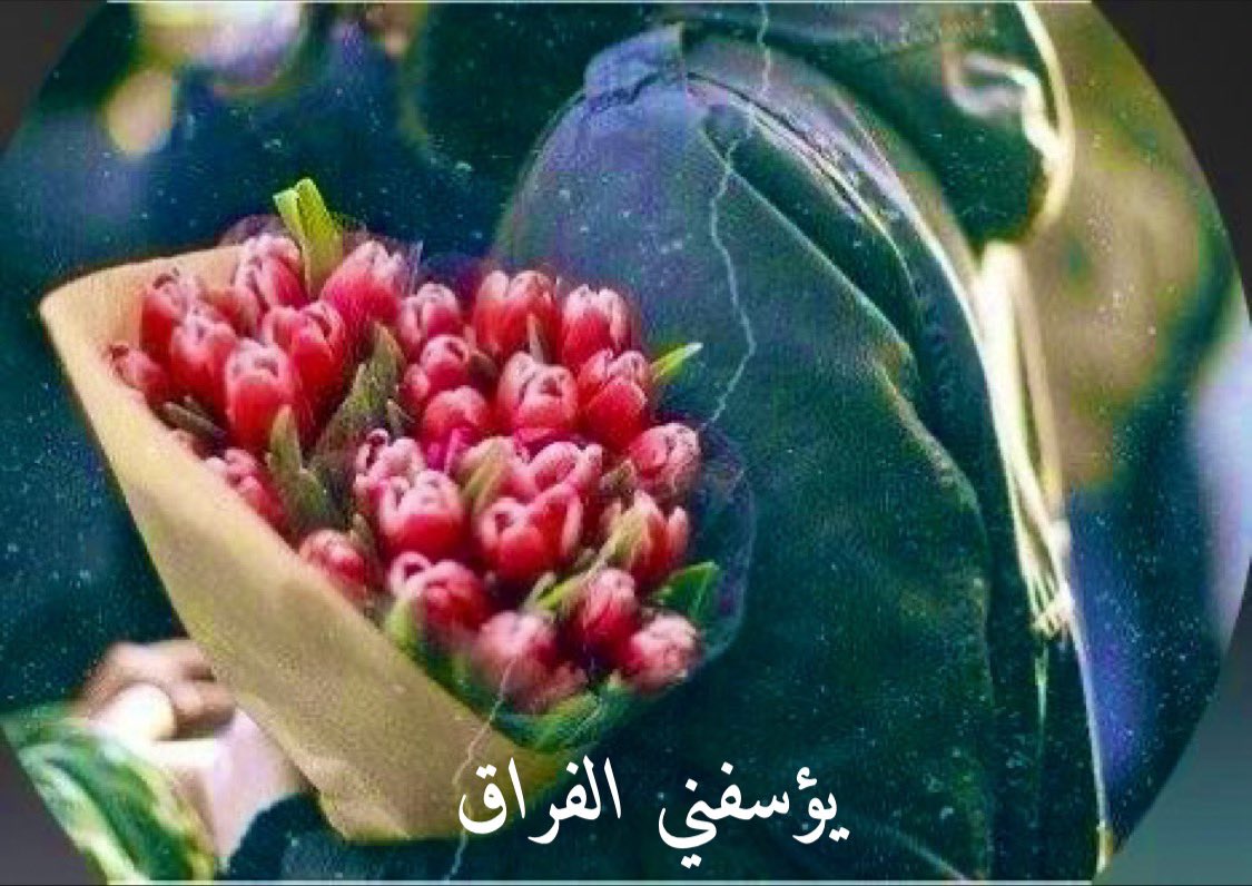 i409h's tweet photo. اللّٰه جاركَ في انطلاقِكْ
تلقاءَ شامكَ أو عراقكْ

لا تعذلنّي في مسيري
يوم سرتُ ولم أُلاقِك

إني خشيتُ مواقفًا
للبينِ تسفحُ غربَ ماقِكْ

وعلمتُ أنَّ بكاءنا
حسبَ اشتياقي واشتياقِكْ

فتركتُ ذاكَ تعمدًا
وخرجتُ أهربُ من فراقِكْ
———————————
#خواطر_وأقلام_تُعبر  ،،،🥀 https://t.co/osul43HpPq