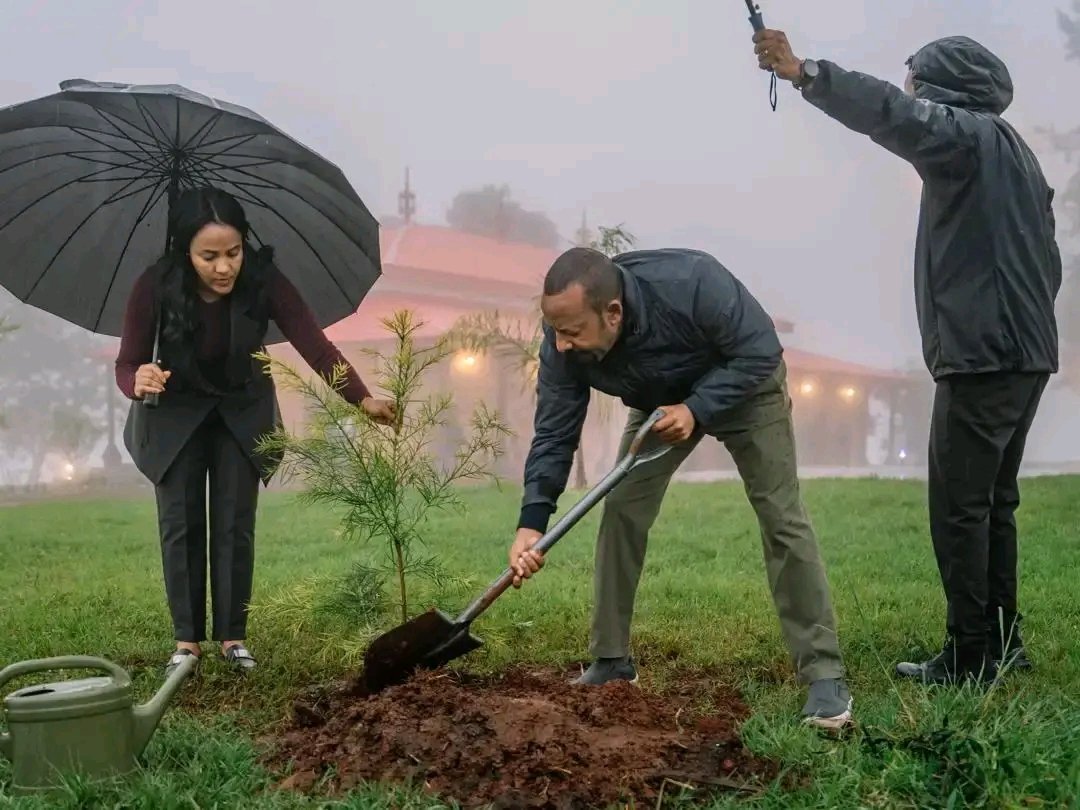 bura09092632's tweet photo. The Green Revolution that prepared Ethiopia for international responsibility👉🇪🇹
#Ethiopia #climatechange #COP32 #RenewableEnergy #GreenLegacy #GreenEconomy #GreenDevelopment #EnvironmentalProtection #addisababa https://t.co/Pop6vtyJgs
