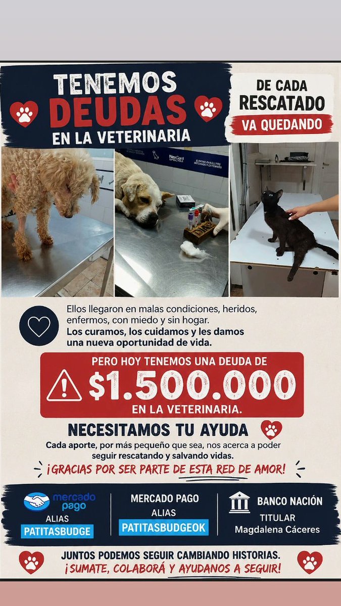 patitas_budgeok's tweet photo. AYUDA URGENTE ⚠️
Debemos pagar en la veterinaria $1.500.000 y necesitamos bajar esta deuda para poder seguir ayudando a quienes más lo necesitan.
SOLAS NO PODEMOS!

🙌ALIAS PATITASBUDGE 
🙌ALÍAS PATITASBUDGEOK 
MAGDALENA CACERES https://t.co/ydWwnCuuKa