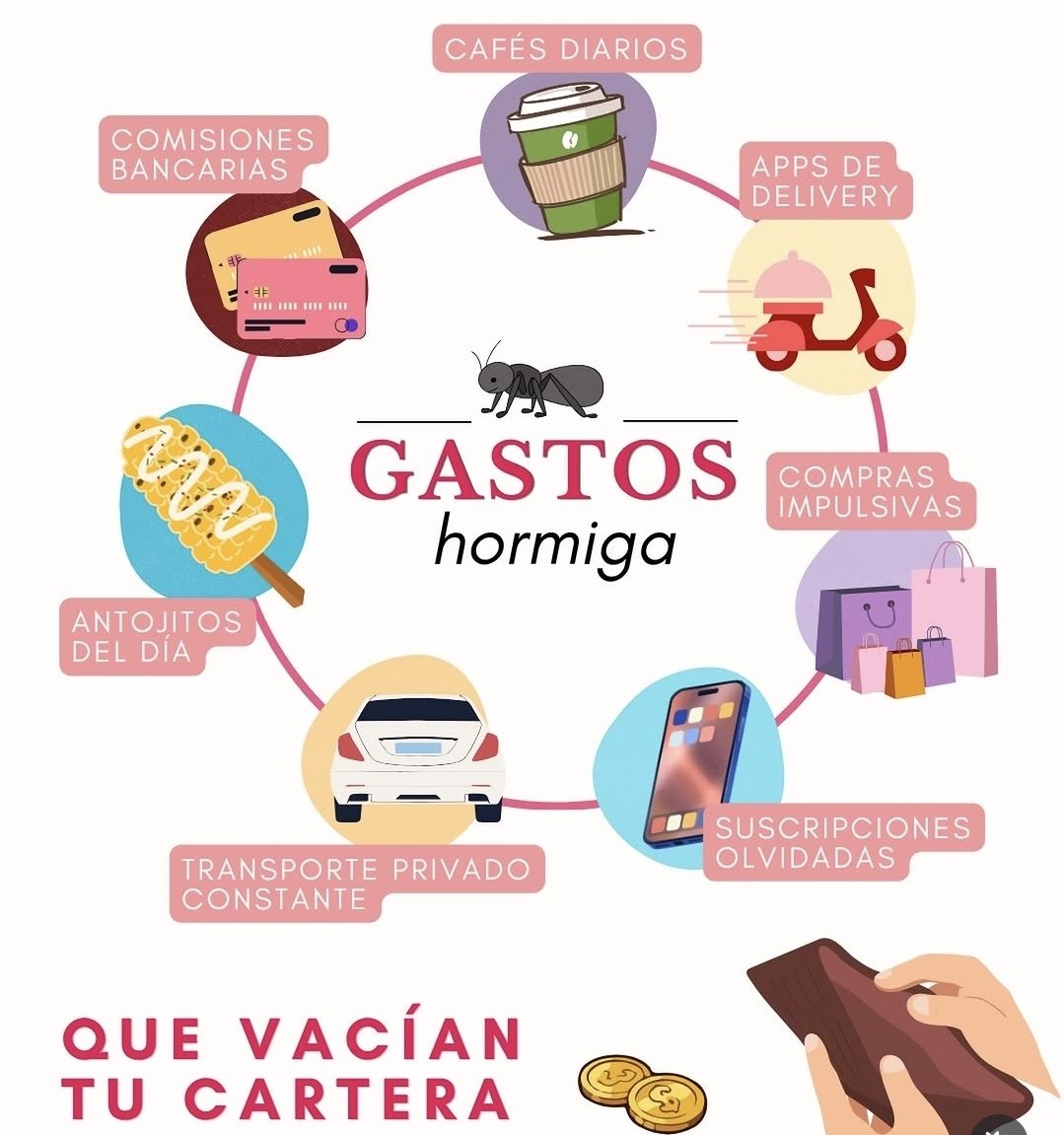 VegaPalo89's tweet photo. https://t.co/VDc7R9VnGT