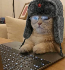 Communist Cat tweet media