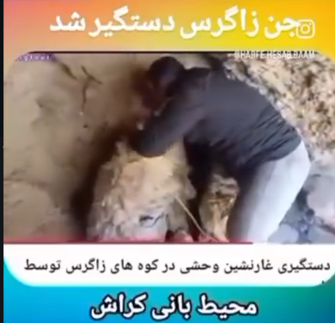 rafizi_zov's tweet photo. واقعي است؟ https://t.co/joOig09Yij