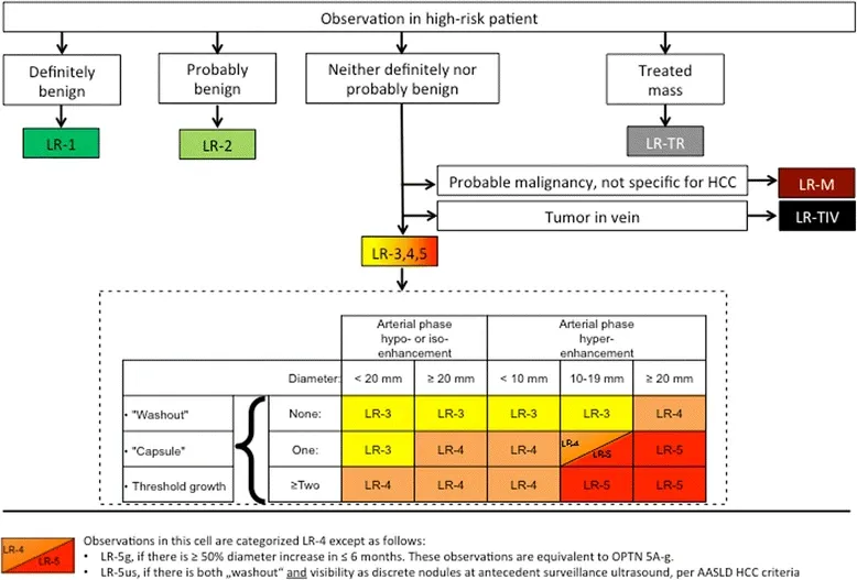 deboo117's tweet photo. LI-RADS is a standardized system developed by the American College of Radiology for interpreting and reporting imaging findings in patients at high risk for hepatocellular carcinoma (HCC).
https://t.co/qF3azkl9fs
#LIRADS

Reference: 
@LiverFellow 
https://t.co/mw5I6SfcH8 https://t.co/b0mKF4xS7g