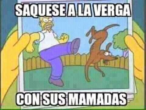 RicardoHer34072's tweet photo. @RicardoBSalinas No MMS p1nch3 #dientesdeburrochillón , tú de entrar en la política harías peor de m4m4d45 que el p1nch3 cara de mingitorio, basta con ver cuando le presumes a tus gatos los viajes que haces para que te aplaudan hasta con las n4lg45 así que 👇👇 https://t.co/TBBli0cXtY