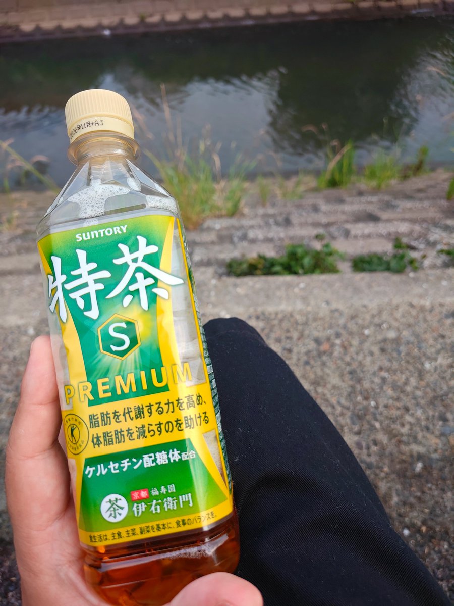 thegate0808's tweet photo. 寝てないから疲れて川座って休憩してる https://t.co/8sPWF5kQ83