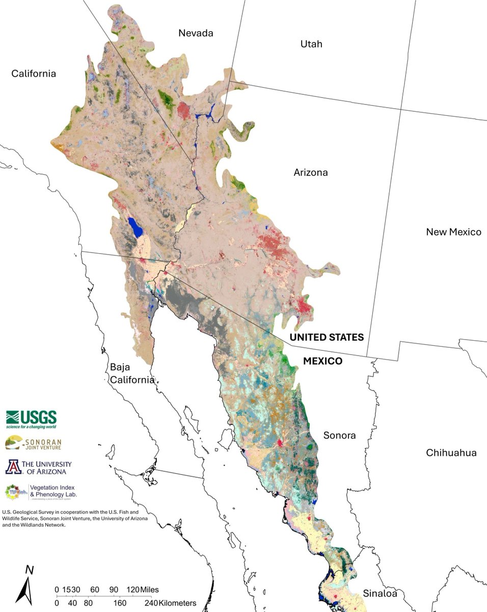 USGSAZ's tweet photo. The Sonoran and Mojave Deserts are incredibly diverse, serving as habitat for migratory birds and wildlife. 

USGS researchers and our partners combined satellite data, decadal plant growth cycles, and extensive ground verifications to map nearly 148 million acres at a sharp 30-meter resolution.

The resulting framework classifies 152 different vegetation and land cover types across both the United States and Mexico. Hosted as an interactive online tool by @uarizona, this map can be rapidly updated with new field observations to detect environmental shifts over time.

This non-biased science provides foundational data to regional public land managers, helping them understand habitat distribution and plan for long-term resource stability.

Download the report and see the full map here: https://t.co/v8MbPlX9Kp

📸: High-resolution Transboundary Vegetation Community Maps of the Sonoran and Mojave Desert Ecoregion to Support Critical Landscape Conservation Planning and Habitat Management Needs.

@uarizona @wildlandsnetwrk @sonoranjv