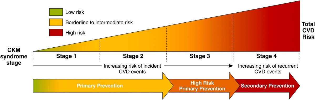 drbennisahmed's tweet photo. Stages 1–4 map directly to escalating cardiovascular risk:
🟢 Stage 1 → Low risk | Primary Prevention
🟡 Stage 2 → Borderline–Intermediate | Primary Prevention
🟠 Stage 3 → High risk | High-Risk Primary Prevention
🔴 Stage 4 → Highest risk | Secondary Prevention https://t.co/L5IhqpIegO