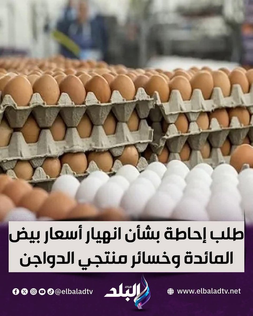 masr_7's tweet photo. البرلمان طلب احاطه علشان البيض رخص ولم يطلب احاطه لفشل الحكومهفي كوارث اللاجئين وانتشار الكلاب الضاله المسعوره وتدني المرتبات والمعاشات
@ هل البرلمانيين اغلبهم تجار
@ هل البرلمانيين نسيوا انهم جاءوا لحماية الشعب 
محدثكم خميس ابو العافيه قطاع البرلمان😂😂😂 https://t.co/pUImbdvqiv