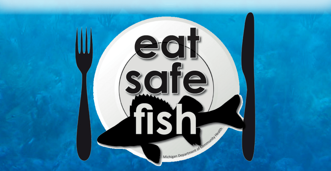 MMDHD2's tweet photo. The Michigan Department of Health and Human Services (MDHHS) has released the 2026 Eat Safe Fish Guides to help Michigan residents choose fish that are best for them and their families to eat!

Learn more: https://t.co/Nmfe0wD0rn https://t.co/Y5RKrKibEJ