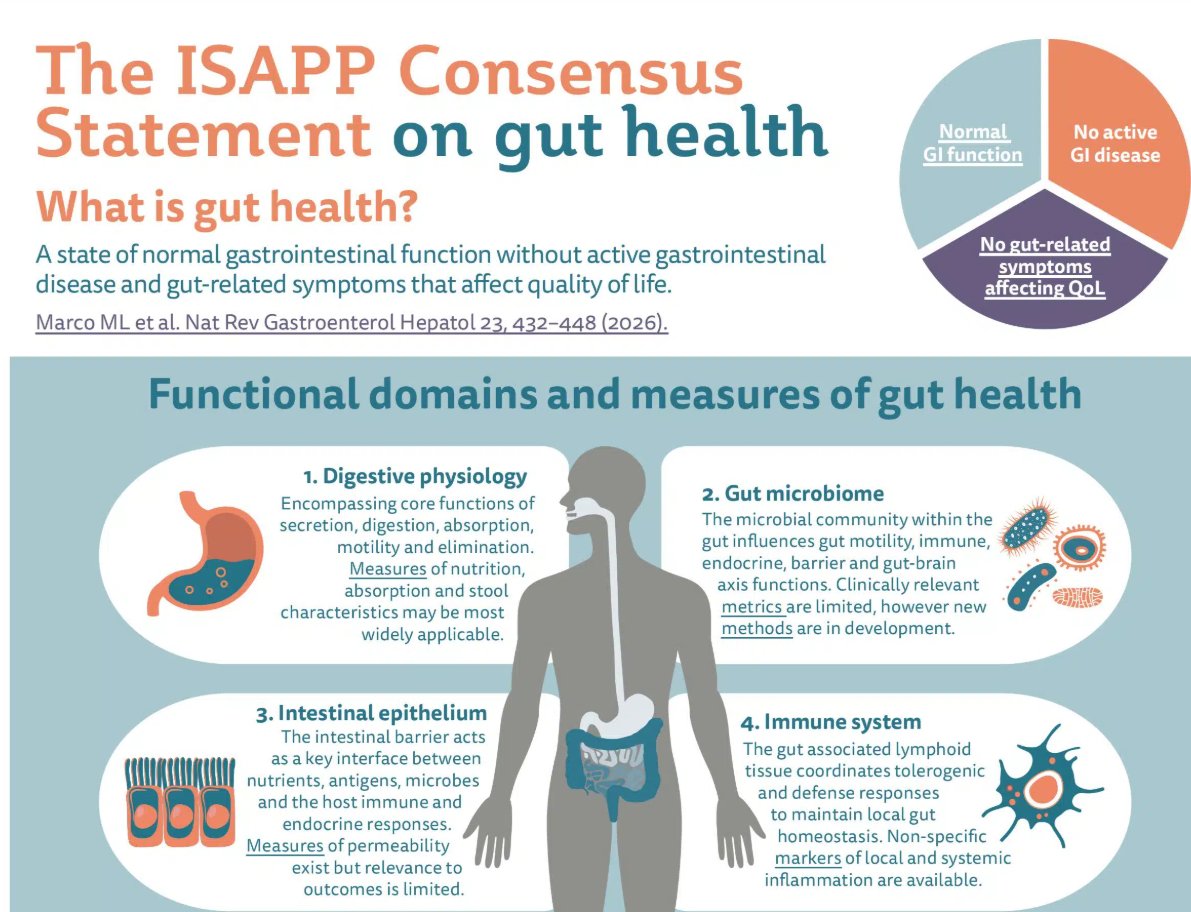 ISAPPscience's tweet photo. ISAPP has released a new infographic on gut health, created for researchers and health professionals! It shows the key points from our recently published scientific consensus definition, which aims to bring more clarity and rigor to gut health research.

https://t.co/xwZCPZqWPm https://t.co/JR8NkhA0W2