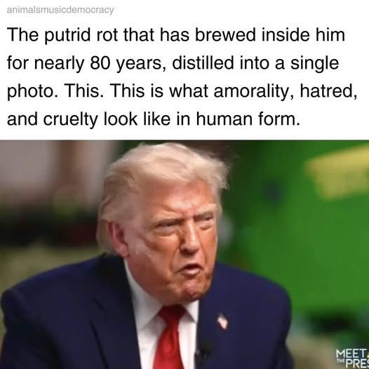 SassyBabyBoomer's tweet photo. POS!!! https://t.co/iRYslmaFTN