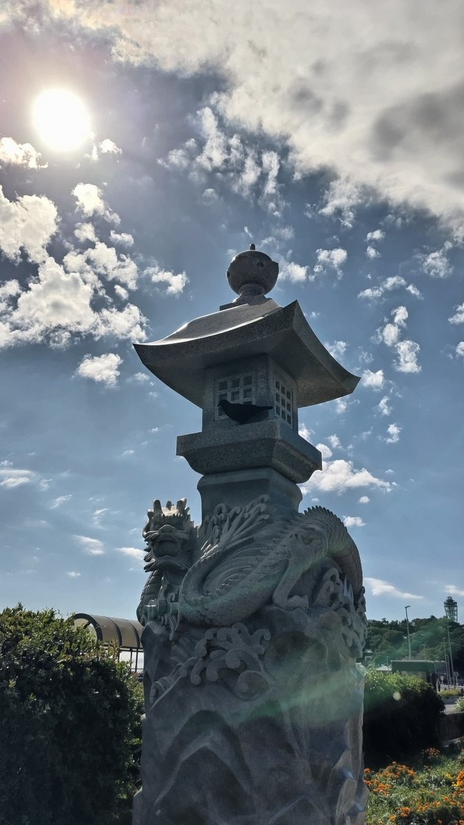 happyfeather's tweet photo. おはようございます😊

今日も１日ゆっくりと🐢
自分のペースで
頑張りすぎないように
顔晴りましょう🍀

今日も素敵な１日を🌈✨ https://t.co/yuaBDREckN