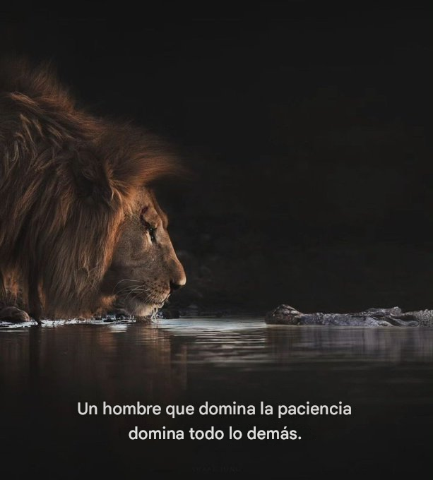 senor_de64605's tweet photo. https://t.co/yj0vJUkItH