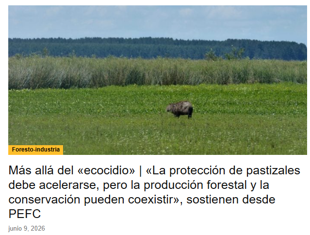 barrani_com's tweet photo. Totalmente cogidos por la sarasa ecologista en Misiones.
Un tribunal de zurdos mugrientos con agenda extranjera emitiendo una "sentencia"

https://t.co/gpLIK1cdCD https://t.co/3sI1FButqE