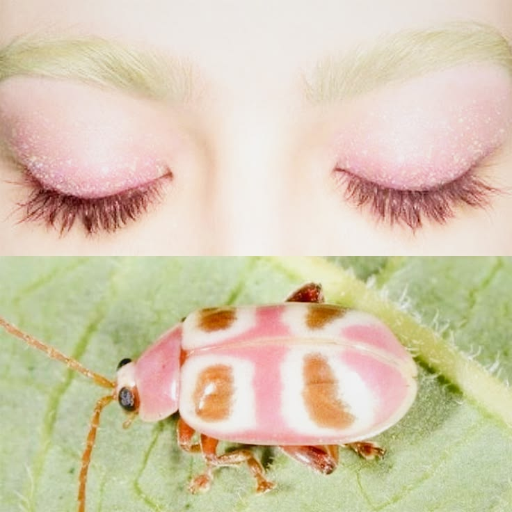 zombiegirlbug's tweet photo. ㅤㅤㅤ🩷💚 𝜗𝜚. ݁₊ https://t.co/098APAbdAC