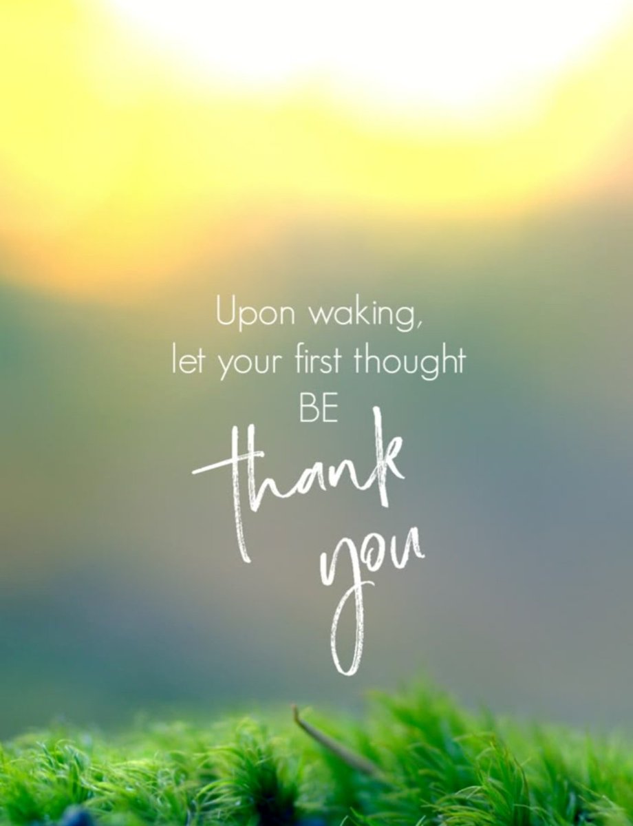 baronetcy's tweet photo. Good Morning - https://t.co/4CiA760olw