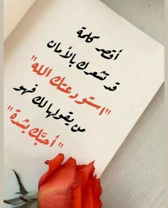 Hashim64442398's tweet photo. استودعك الله 🌹 https://t.co/Vpg6jTs3yH