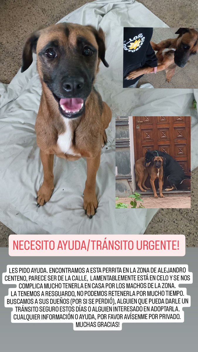 Pilu_Navas's tweet photo. Por favor!! No la puedo tener más tiempo. https://t.co/hSW88aIanY