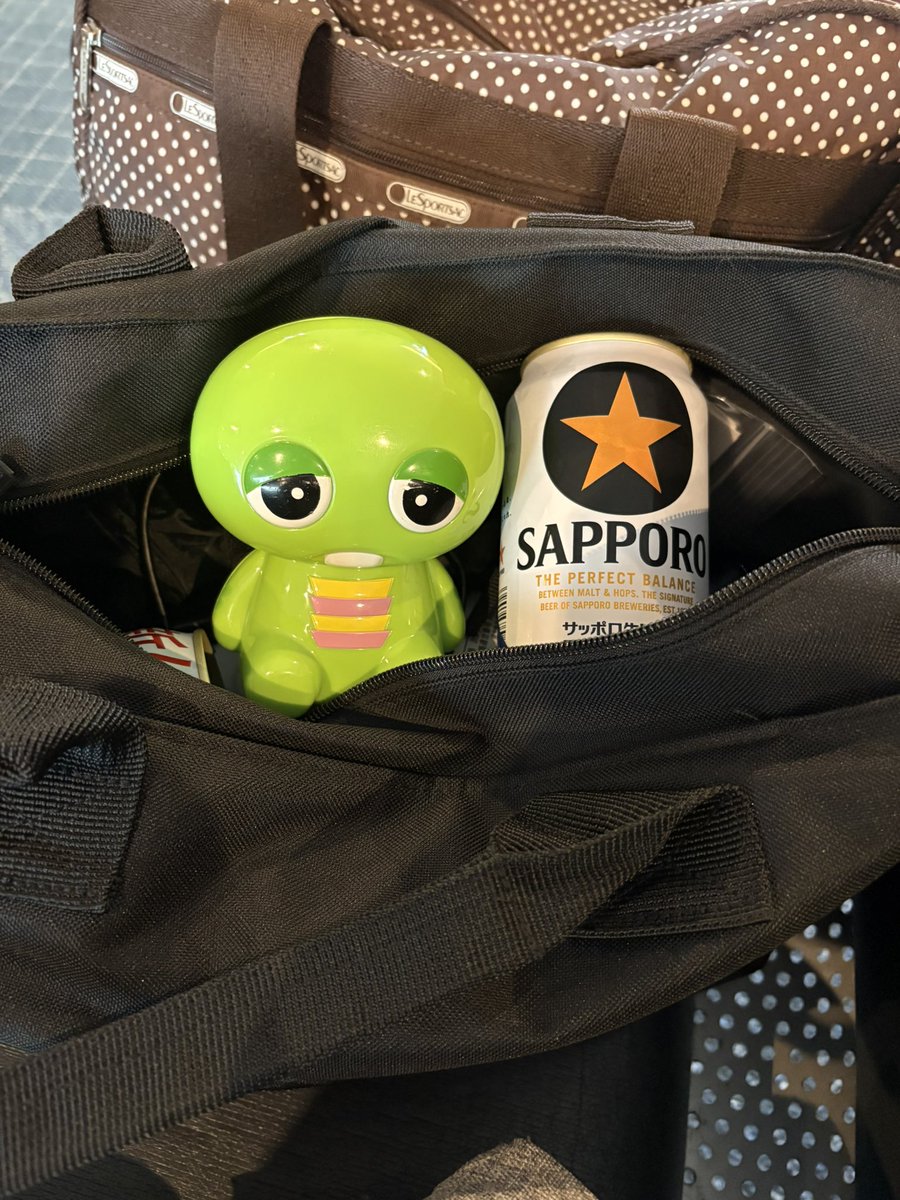 osadadesyo's tweet photo. 飛びます！飛びます！✈️ https://t.co/CzC26YEoJW