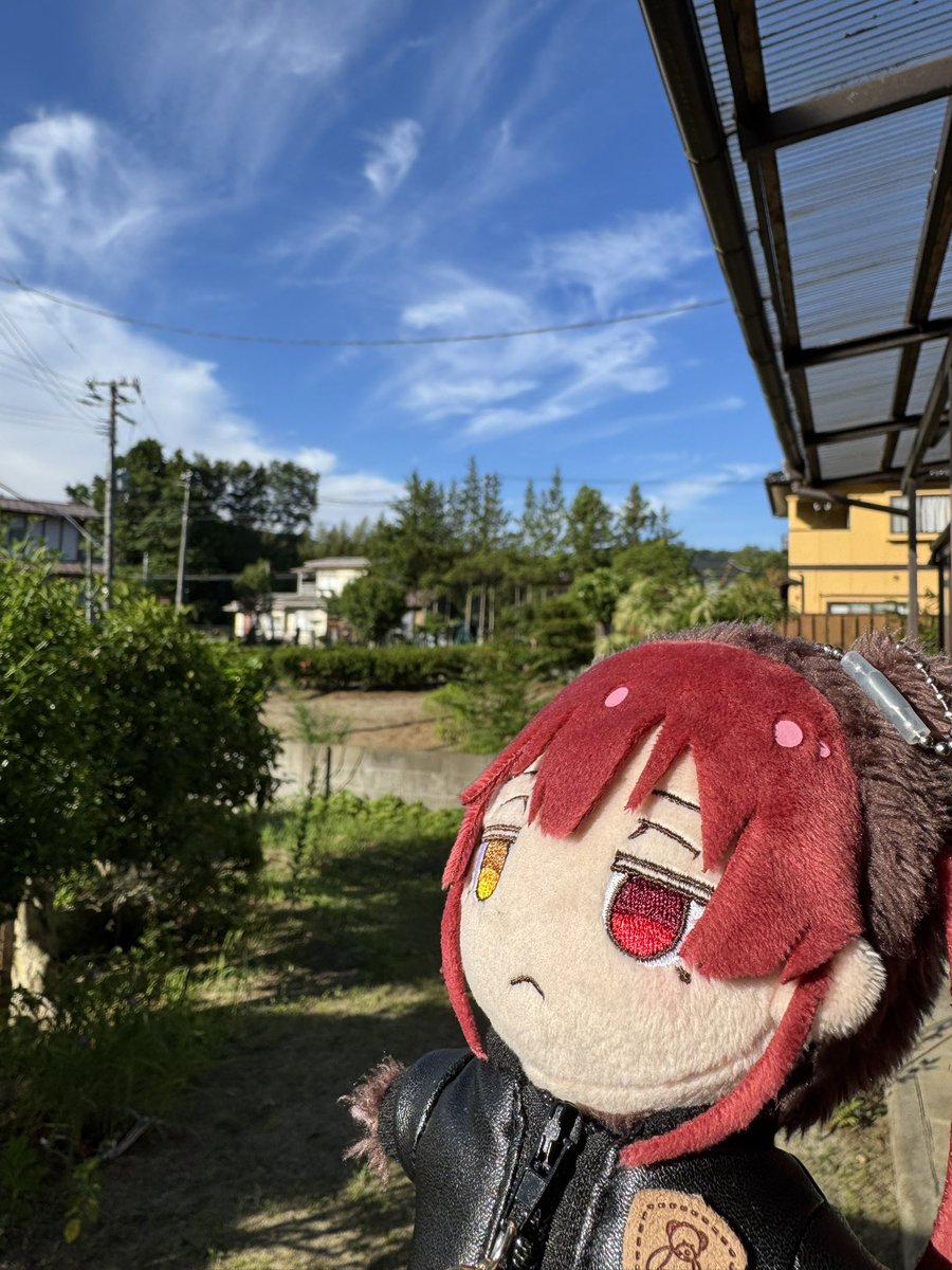 hakuginki's tweet photo. マリン船長、一味の皆さんおはようございます☀
昨日の休日をやりたいことが色々できて良い1日を過ごせました😌
週の真ん中、気温も上がり暑くなりそうなので水分補給しっかりしながらお仕事頑張ってきます💪✨
本日もよろしくお願いします✨ https://t.co/ITnM6FLyuf