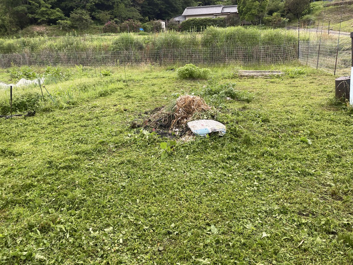 arachan41's tweet photo. 昨日はパート休み。曇天の中。山奥の葡萄畑に。次男夫婦、パートさんと一緒でジベ処理。人が多いと昼までに予定終了。昼食後今度は選果場のジベ処理。雨が降らないので、畑仕事しようと頑張り夕方終わる。夕方から夫と2人、今の畑の電気柵の下、入り口、通路を必死で草刈り。スッキリして大満足。 https://t.co/gfOB5meisS