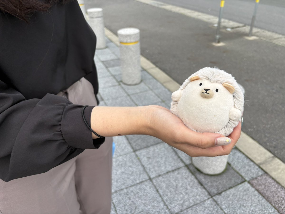 kkrcho2's tweet photo. #ぬい活 #おさかなセンター #最近新しい人間にたくさん会うね https://t.co/GX59fAQwcH