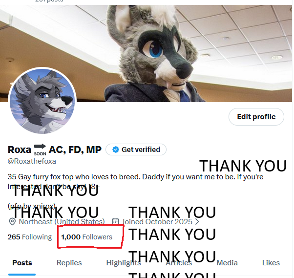 Roxa 🔜 AC, FD, MP tweet media