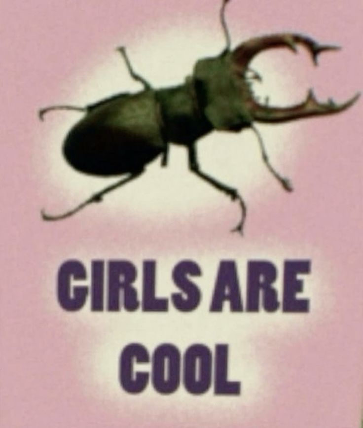 zombiegirlbug's tweet photo. bug girls r cool https://t.co/ce9IsKeWmf