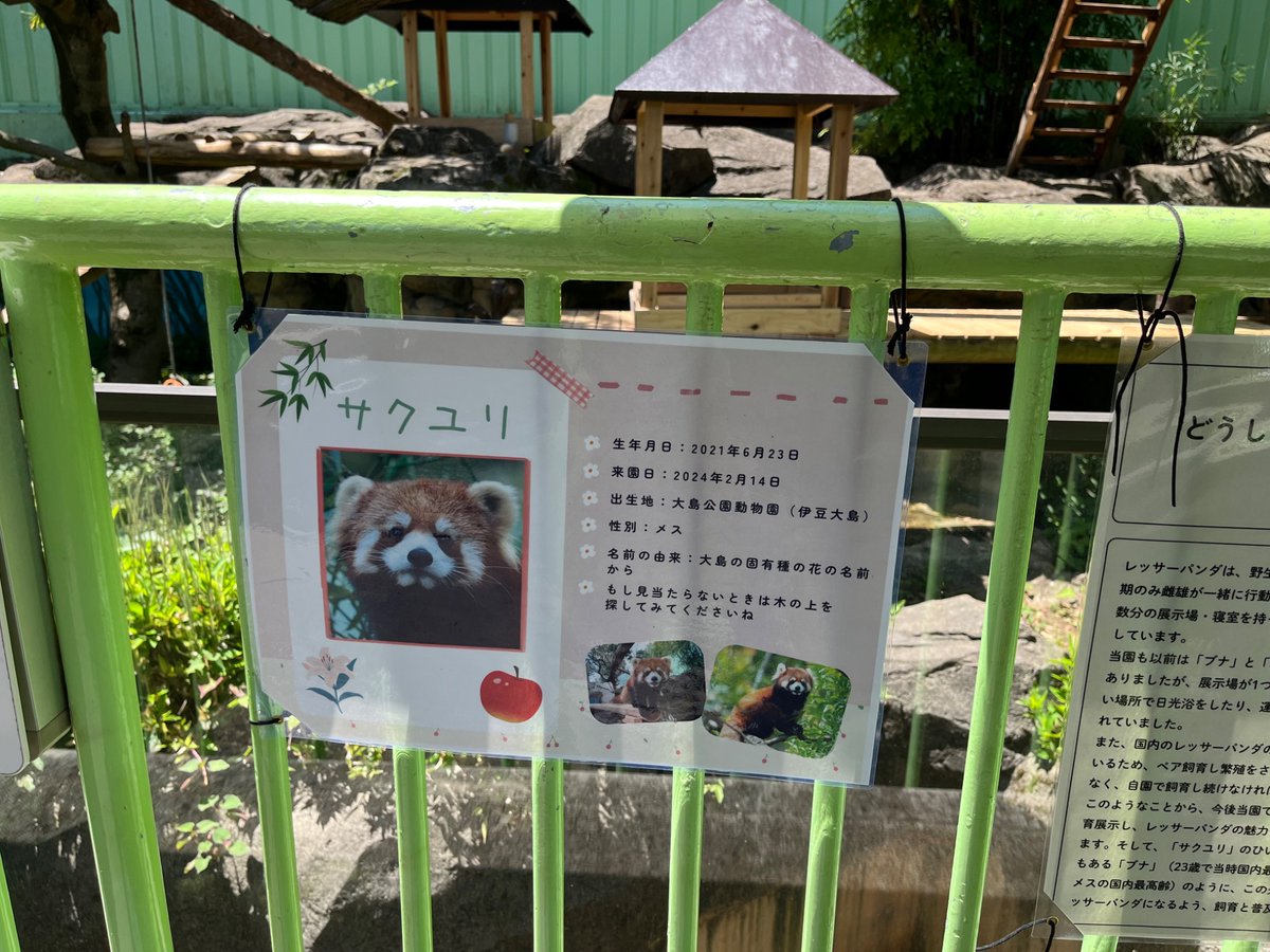 小池@📚　布団の民 tweet media