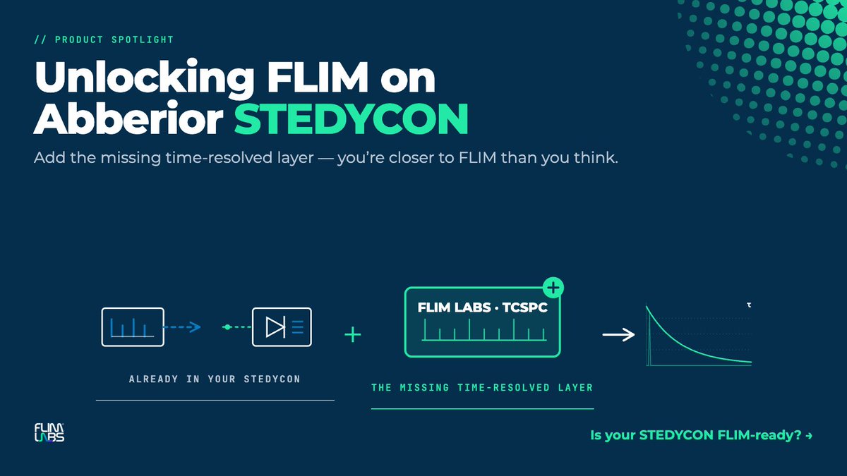 FlimLabs's tweet photo. Already have an @Abberior STEDYCON? You're closer to #FLIM than you think.

Pulsed lasers + single-photon detectors are already inside. Add the FLIM LABS #TCSPC Unit + FLIM IMAGER → fluorescence lifetime imaging, no new #microscope.

DM us if your #STEDYCON is FLIM-ready. https://t.co/WeAUMqCRuQ