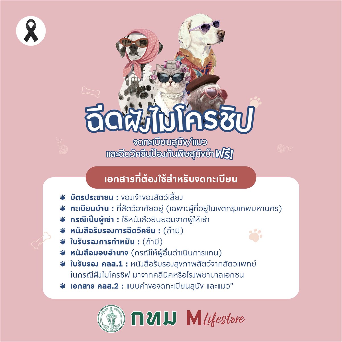 meawgoh's tweet photo. 🐶🐱 เดอะมอลล์ไลฟ์สโตร์ ร่วมกับ กทม. ชวนคนรักสัตว์เลี้ยง พาน้องๆ มาฉีดฝังไมโครชิป และรับวัคซีนฟรี! (ทุกเสาร์-อาทิตย์ ที่ 3 ของเดือนถึง ธันวาคม 2569) https://t.co/CQPLhFkUoL