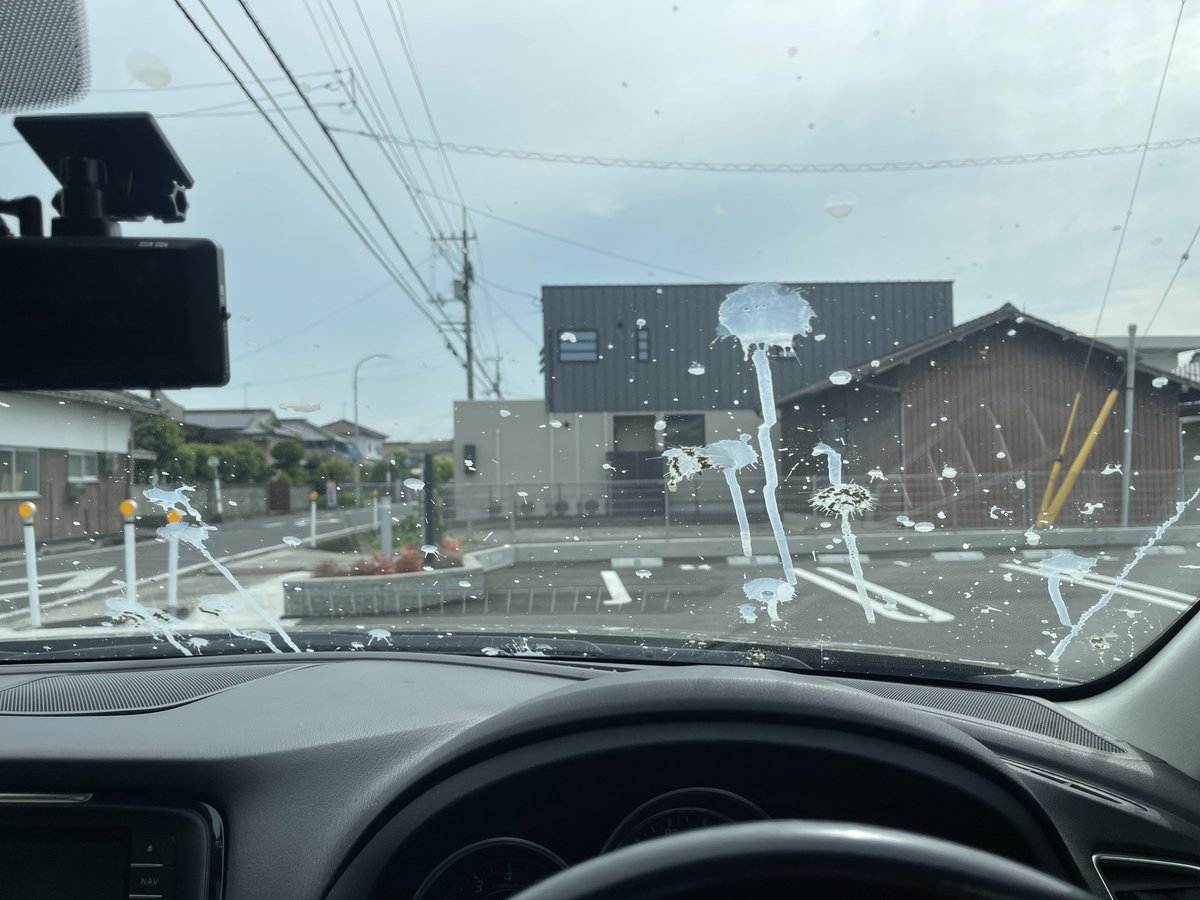 koki_2800's tweet photo. 昨日何食ったんや
隣の人は被害なし https://t.co/R6b5CbGKV5