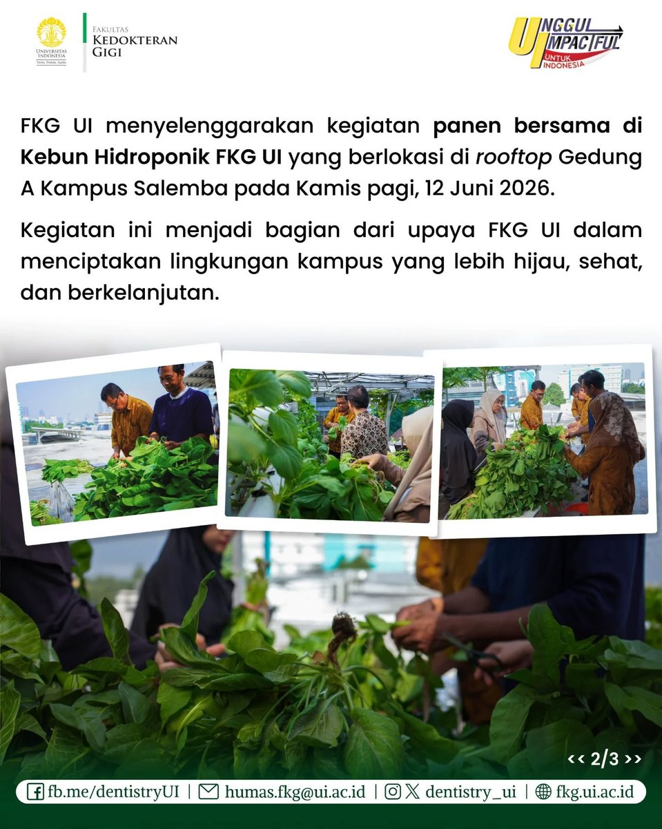 dentistry_ui's tweet photo. Melalui pemanfaatan ruang secara kreatif dan produktif, kebun hidroponik ini menjadi bagian dari upaya FKG UI dalam menciptakan lingkungan kampus yang lebih hijau, sehat, dan berkelanjutan 💚🌱 https://t.co/OAJUxYMGc0