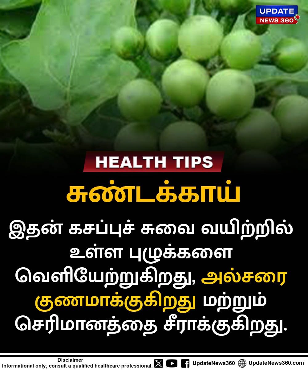 updatenewstamil's tweet photo. உங்க உணவில் கொஞ்சம் சுண்டக்காயையும் சேர்த்திக்கோங்க.!
#Sundakkai #TurkeyBerry #HealthTips #HealthyFood #NaturalMedicine #ImmunityBoost #DigestiveHealth #HealthyLifestyle #Nutrition #UpdateNews360 https://t.co/GFsJYAMIdG