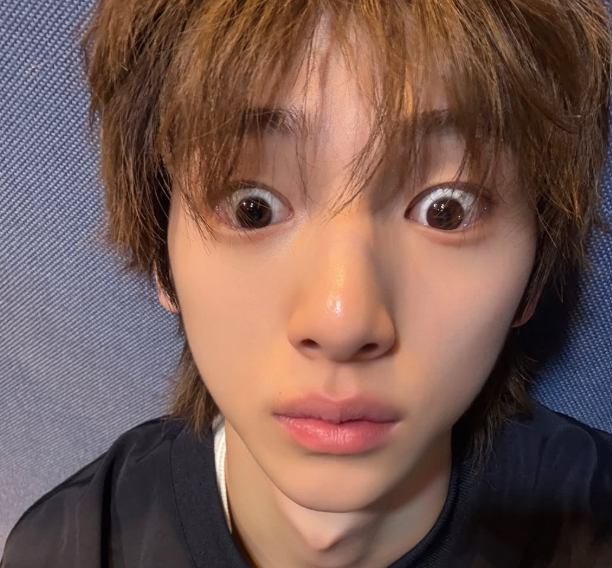 cortis_ol's tweet photo. 어머 이 그림 누가 그린거지? 튀순이 이 지지배가 그렸나? 여보 이거봐요 너무한거 아니에요? 나를 무슨 못생긴 말처럼 그려놨네 얘가. 오면 당장 지우라고 해야지 어이가 없어서. 아직도 지가 10살짜리 앤 줄 아나본데. 여보 내가 이렇게 생겼어요?

아니야..전혀 안닮았지.(내가 그린건데 큼.) https://t.co/IzlYwImV4T