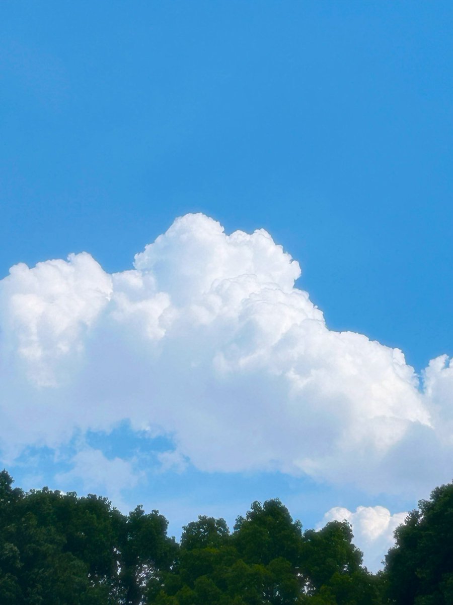 rabbikyu's tweet photo. この間ふとした瞬間に見上げた空
「もう夏なんだねー🌻」

そんなことを思いながら、大きな雲と青空がとても綺麗で、思わず写真を撮ってしまいました😊

季節は少しずつ移り変わっているんですね🌿

#空 #青空 #雲 #初夏 #季節を感じる #風景写真 https://t.co/7Pq1Xarn68