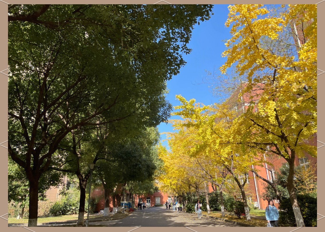 VibeckeDuesund's tweet photo. Sunny autumn morning = perfect for a cozy walk with a warm latte and golden leaves ， https://t.co/kaRvH15qdH