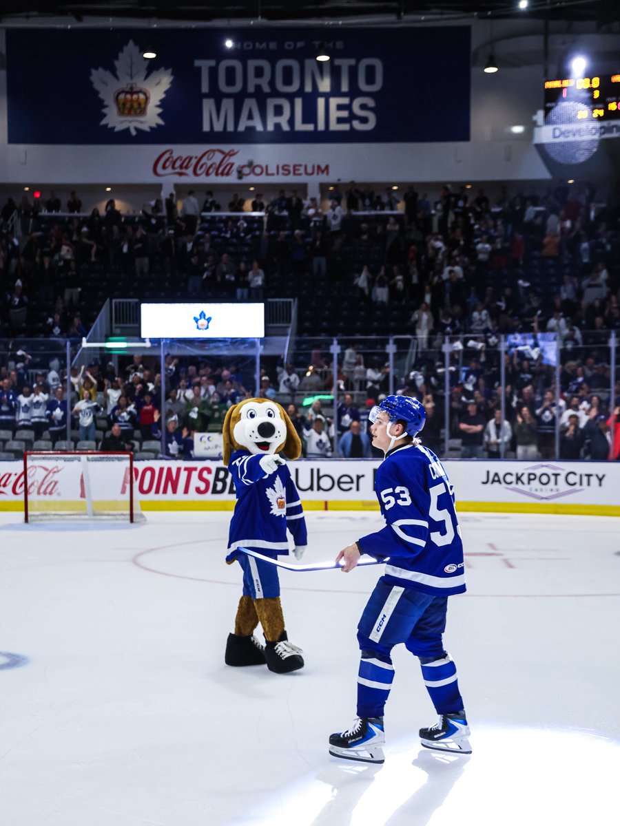 Toronto Marlies tweet media