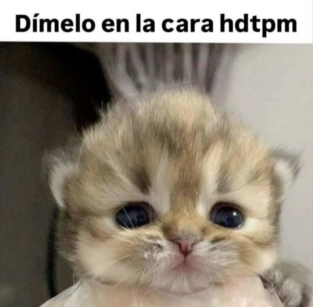 Al4nxcats's tweet photo. Dímelo atrévete https://t.co/rr84GmZ8fZ