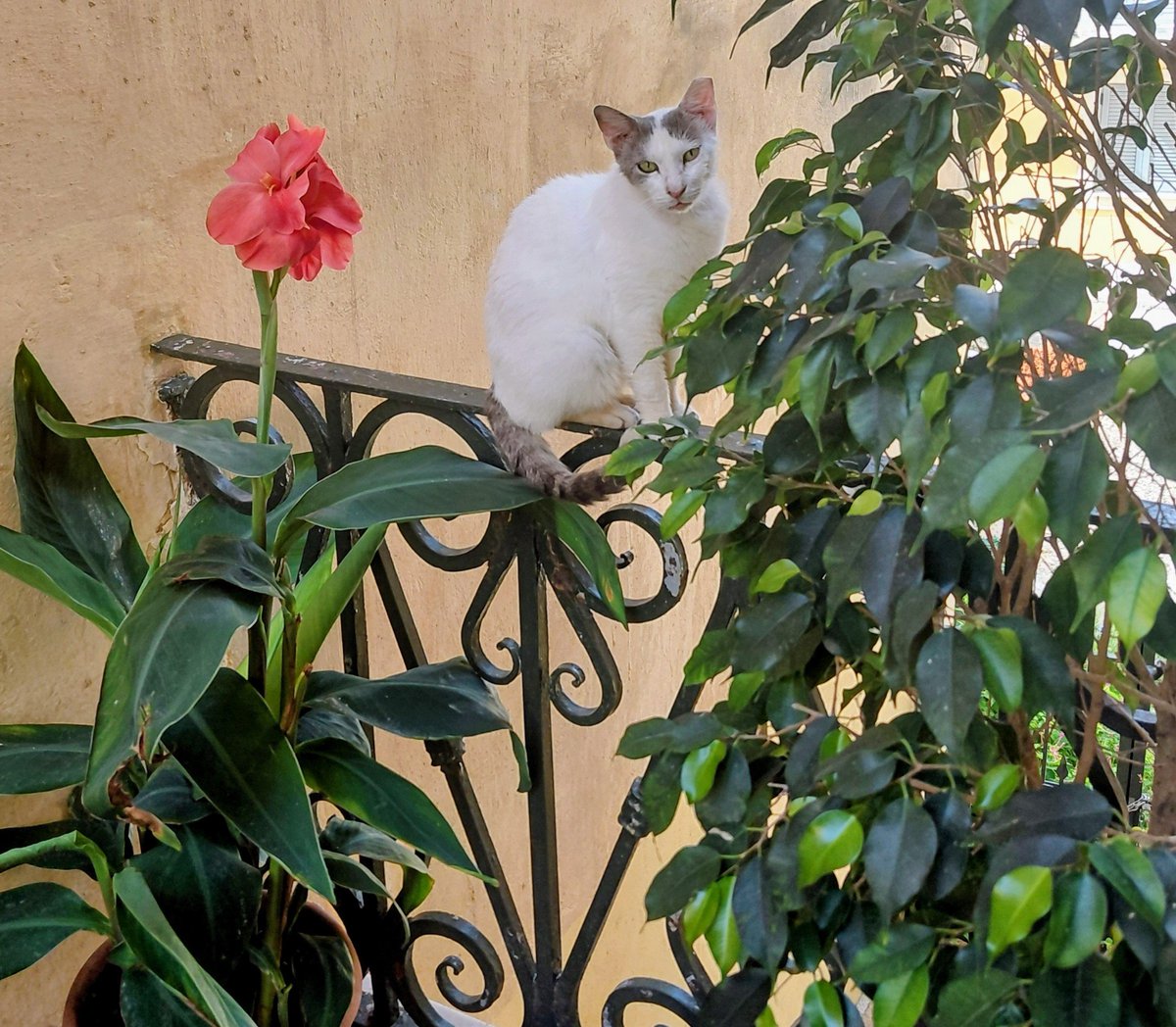 Sandra66270693's tweet photo. Όταν είσαι όμορφη και το ξέρεις 😊 https://t.co/fi74nxLDgq