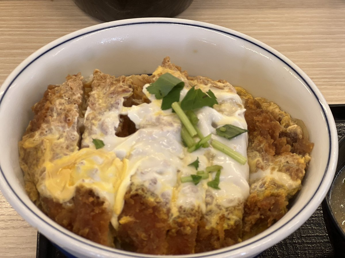 panda728's tweet photo. Foreign observers watch Japanese citizens bow and wait in silent queues. Yet, lawmakers write laws knowing one fact: if this Katsudon vanishes from tables, the people will drop their tools, march into the streets, and strike the state. https://t.co/ZyJzv03dNn