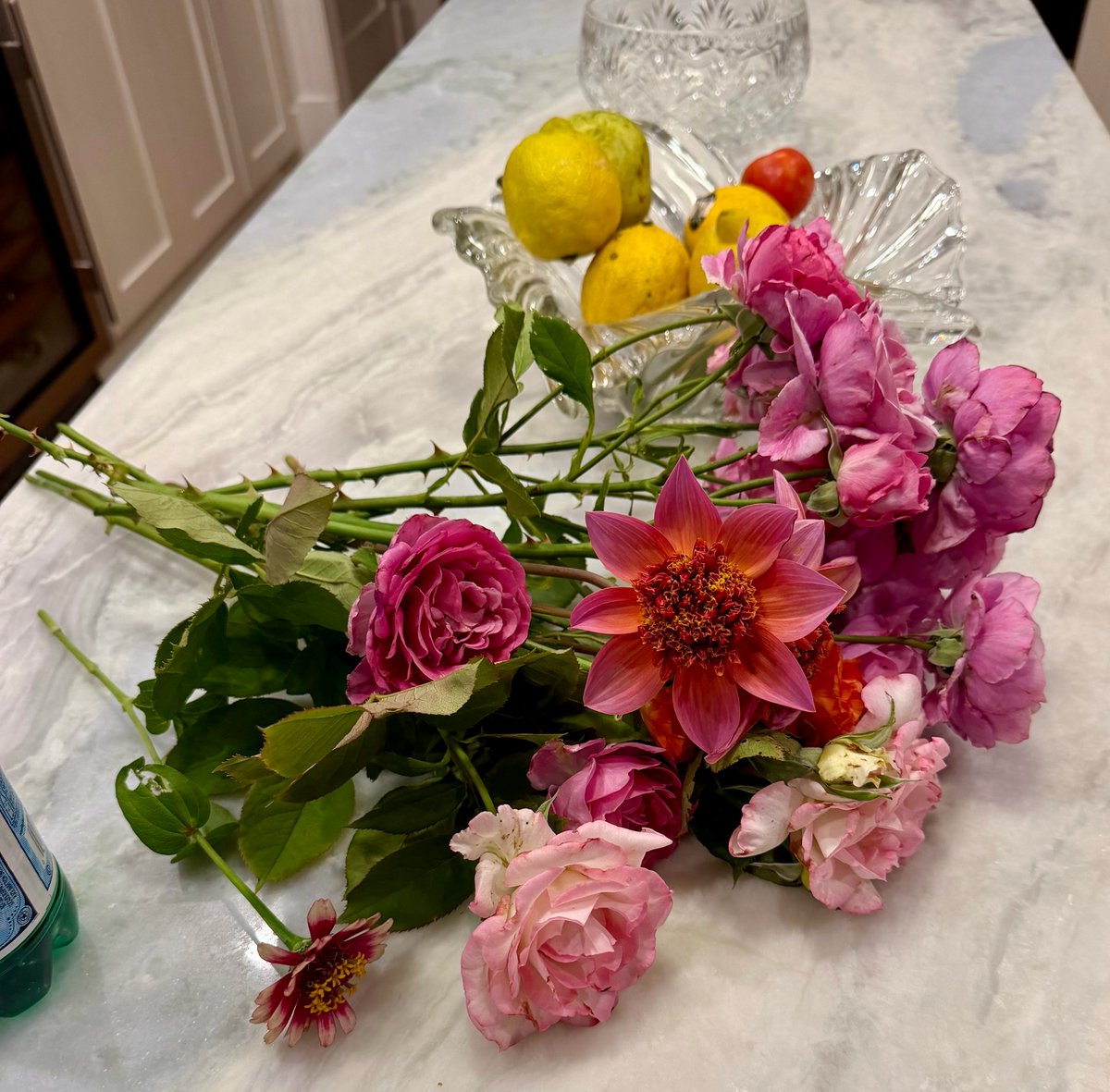 HarmeetKDhillon's tweet photo. I got back late tonight from a far-flung courthouse duty on behalf of my country. Walked the additional 5k steps needed to hit my 20k goal. Semi-unpacked. Heart lifted to see these flowers in my garden. Roses, ranunculus, zinnias, dahlias. 🥰 https://t.co/8K8GtM9FR7
