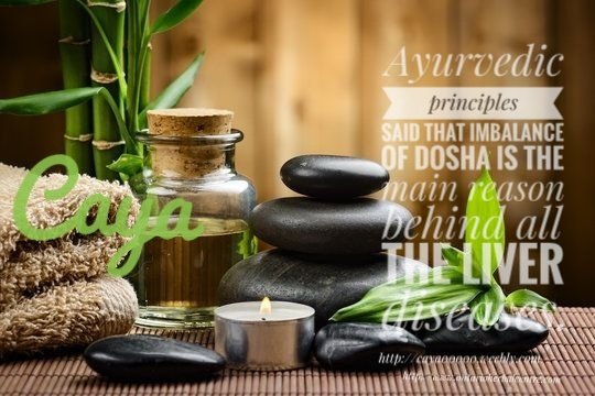drvaaash's tweet photo. Ayurveda principles https://t.co/XK5G9womvY