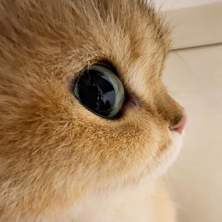 fwcatty7's tweet photo. 👀 https://t.co/PWkRwRsBLX