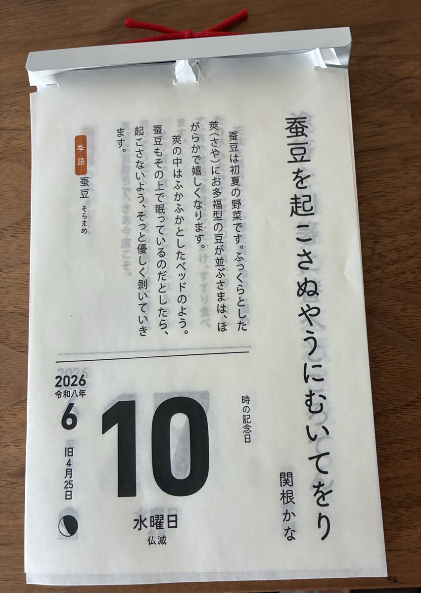 tmocchi1244's tweet photo. 梅雨晴間。今月は奈良の大会があったり、慌ただしく「日めくりカレンダー」が4日で止まっていてまとめて剥がす。10日は1月に急逝した小熊座の関根かなさんだった。とことん優しい方だなぁ…そっと剥がして箱に入れた。 https://t.co/s3xjlUcGlG