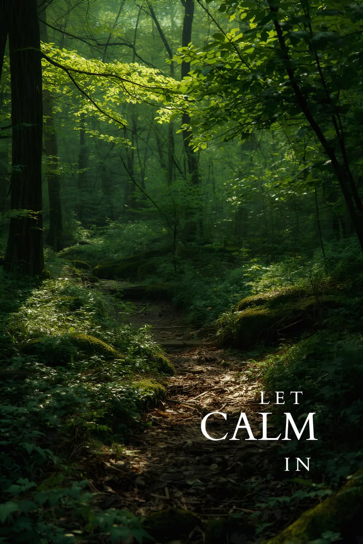 Inner_Trust's tweet photo. Take a breath. Unclench your jaw. Drop your shoulders. Let your body know it is safe to settle.

Peace does not always arrive loudly. Sometimes it slips in quietly the moment you stop fighting yourself.

Today, choose calm. Even if only for one breath at a time. https://t.co/eN2BIihmto