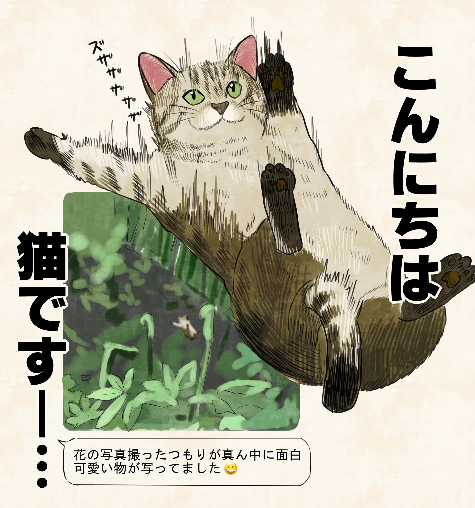 HK_TbflbcAATazk?format=webp&
