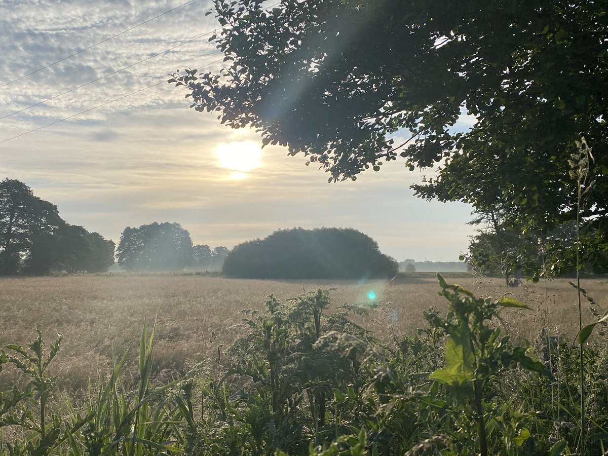 Post by 𝔑𝔞𝔰𝔱𝔯𝔞𝔫𝔡𝔦𝔯 ᛟ on X: Moin