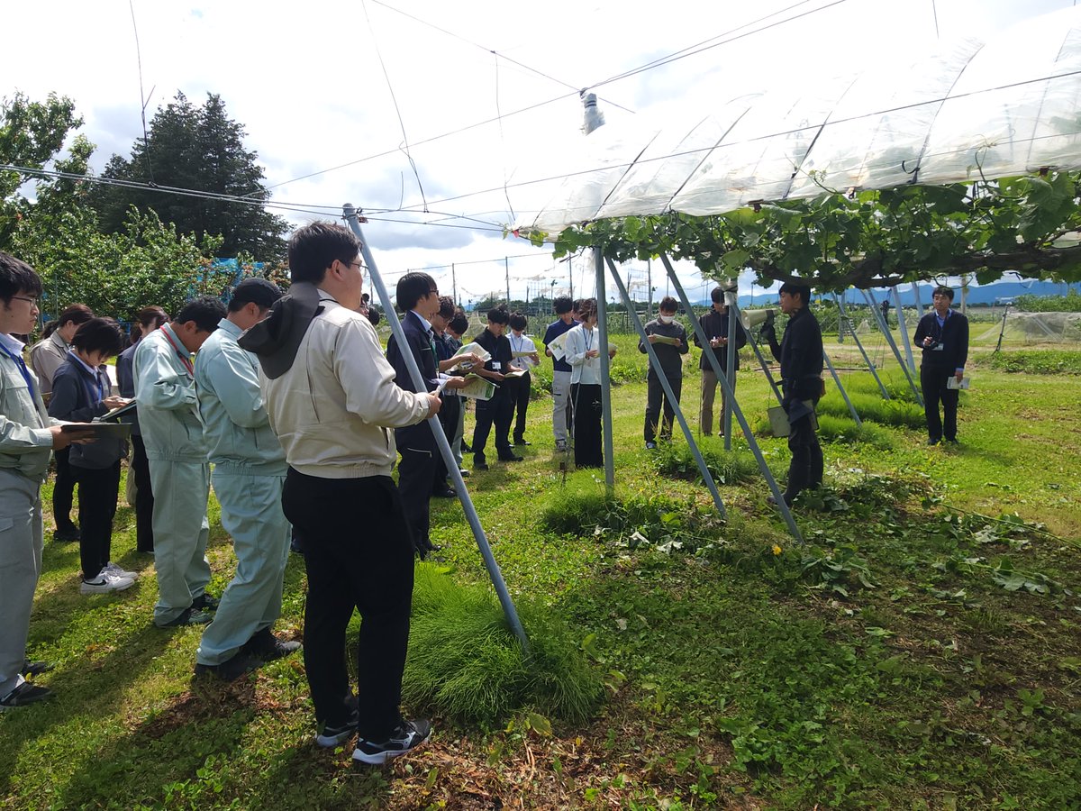 iwate_iarc's tweet photo. 【らぼ・れたあ】6月10日、当センターで岩手県農林水産部の新採用職員研修を実施し29名が来所。ほ場見学で水稲の高温登熟耐性品種開発やシャインマスカット栽培研究を紹介。活発な��疑が交わされ、理解を深めました。
https://t.co/m4m5gu9WMD https://t.co/j0wF6TFErZ