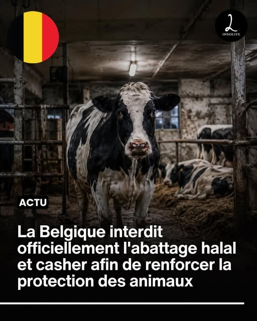 PhilsudOuest's tweet photo. La Belgique commence à comprendre le danger des musulmans. https://t.co/58WItCNit0